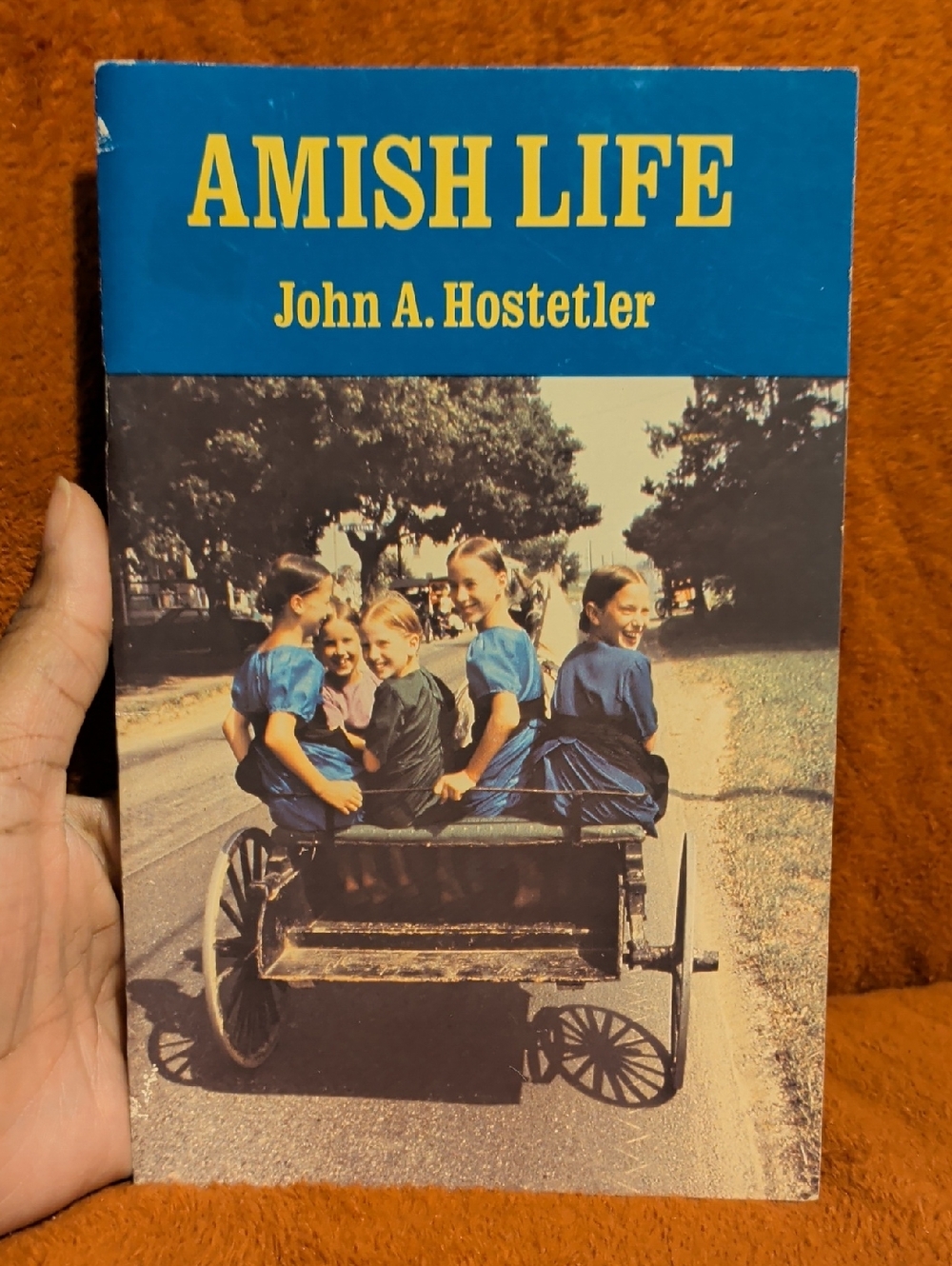Amish Life by John A. Hostetler